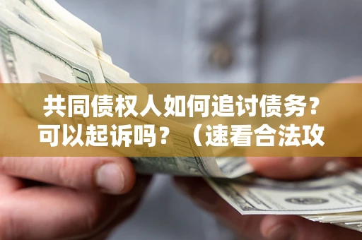 济南共同债权人如何追讨债务？可以起诉吗？（速看合法攻略）